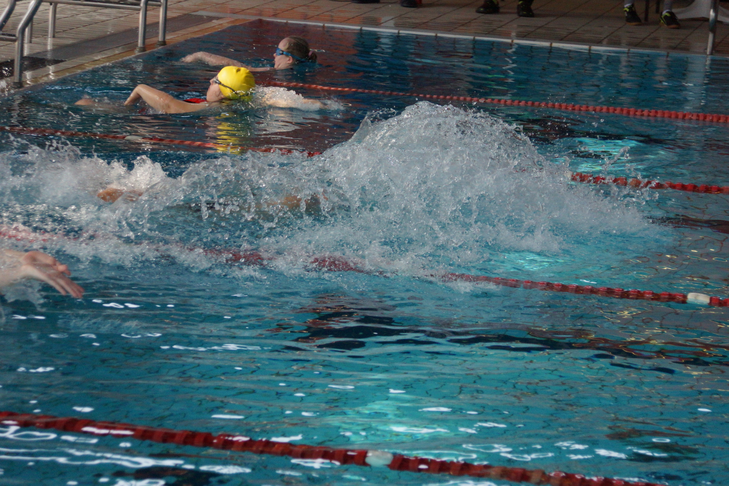 11. fränkischen Meisterschaften im Schwimmen