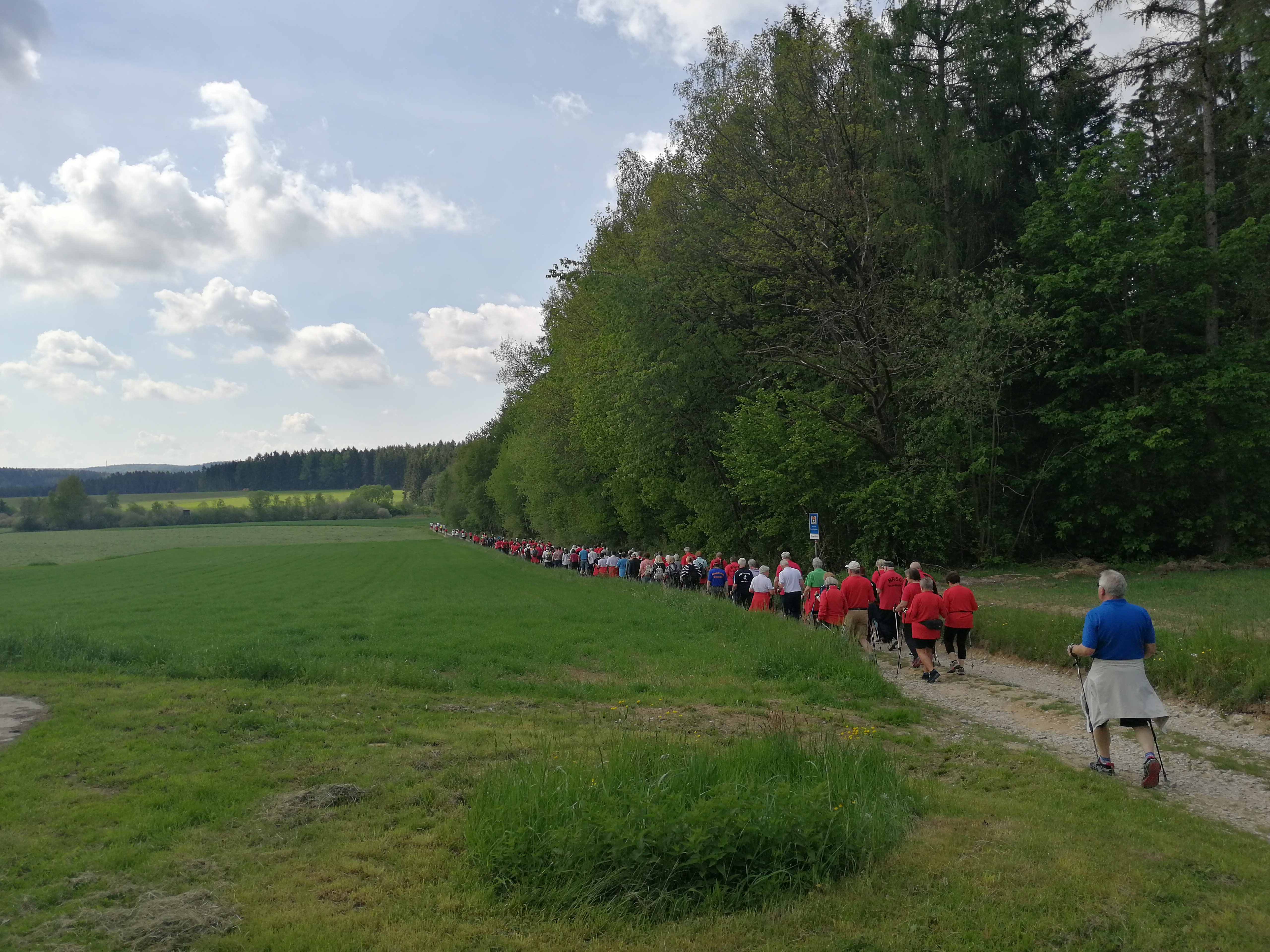 Nordic Walking Tag