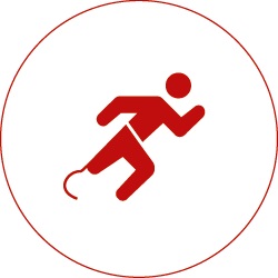 Ausschreibung zu den internationalen Deutschen Hallen-Meisterschaften Para Leichtathletik und Winterwurf